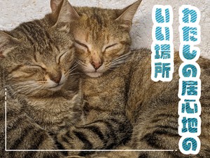 わたしの居心地のいい場所