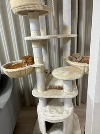 キャットタワーが大好きな猫ちゃんず（提供：aちゃん/1m👦🏻さん）