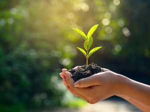 遺産を環境保護に役立てる　「みどりの遺言プロジェクト」とは？