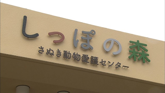 引き取ったイヌやネコたちの日常の一コマを募集　「卒業犬猫フォトコンテスト」　香川