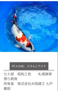 花井組のホームページより