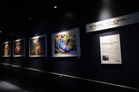 美麗種のアオウミウシも！四国水族館で写真展　瀬戸内海の生物多様性を紹介　香川　　