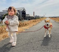 仲良くお散歩（提供：@shiba.tsukuneさん）