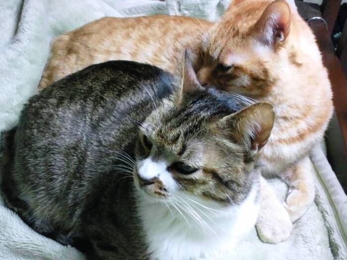 男の友情は大河が旅立つまで１０年続いた（和香子さん提供）