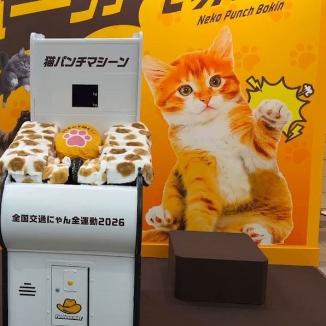 今年度から人間が猫ちゃん気分で参加できるリアルイベント型「猫パンチ募金」もスタート。2026年2月20日〜22日に渋谷マークシティ マークイベントスクエアにて開催された（画像提供：イエローハット）