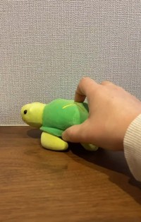 今度は亀を置くと……（「保護猫あぶら&ぽんず」さん提供、Instagramよりキャプチャ撮影）