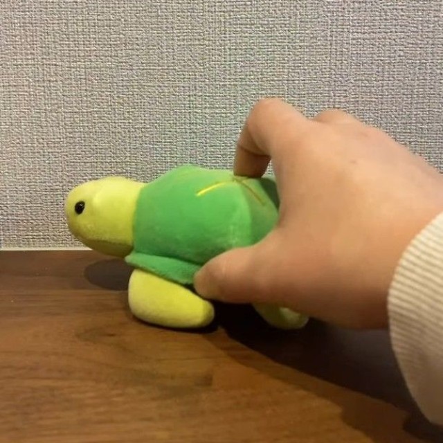 今度は亀を置くと……（「保護猫あぶら&ぽんず」さん提供、Instagramよりキャプチャ撮影）