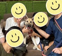 優しい家族に迎えられることになった縦耳のボン