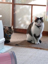 大好きなピートくんと＝gatita_himawariさん提供