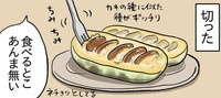 ポポーの種は茶色で大きめ…食べるとこは少なめです
（もっこさん提供）