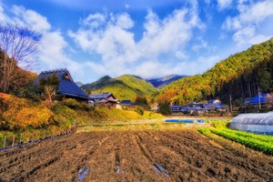 農地の相続　複雑な評価方法や納税猶予の特例を専門家が解説