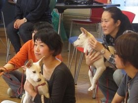 犬目線で感じて学ぶ　トレーナー育成のＰＲＯＤＯＧスクール開校