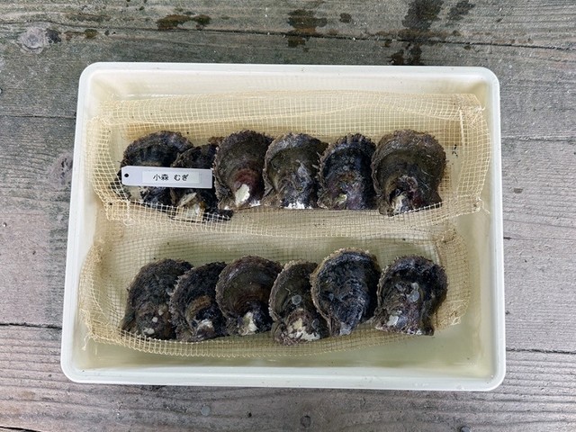 細くてしなやかで強いという特徴を持つ、ベクトランという繊維で作られた養生ケース