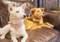 陽気なだけじゃないジュリアの優しい一面を感じる瞬間です