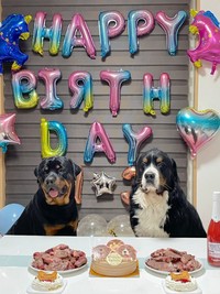 ふたりとも1月が誕生日！ タイカンくん（右）、セドリックくん（左）（画像提供：セドリック タイカンさん）