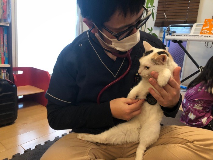 ペットの普段の生活環境もチェックしてもらえるのもメリット（アニホック提供）