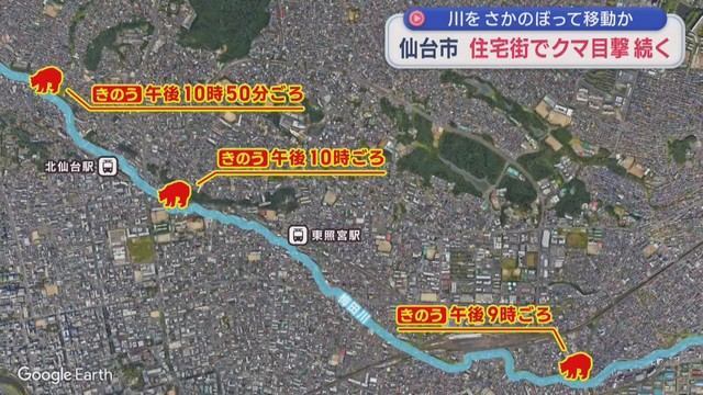 仙台の住宅街でクマの目撃が続く　川をさかのぼって移動か