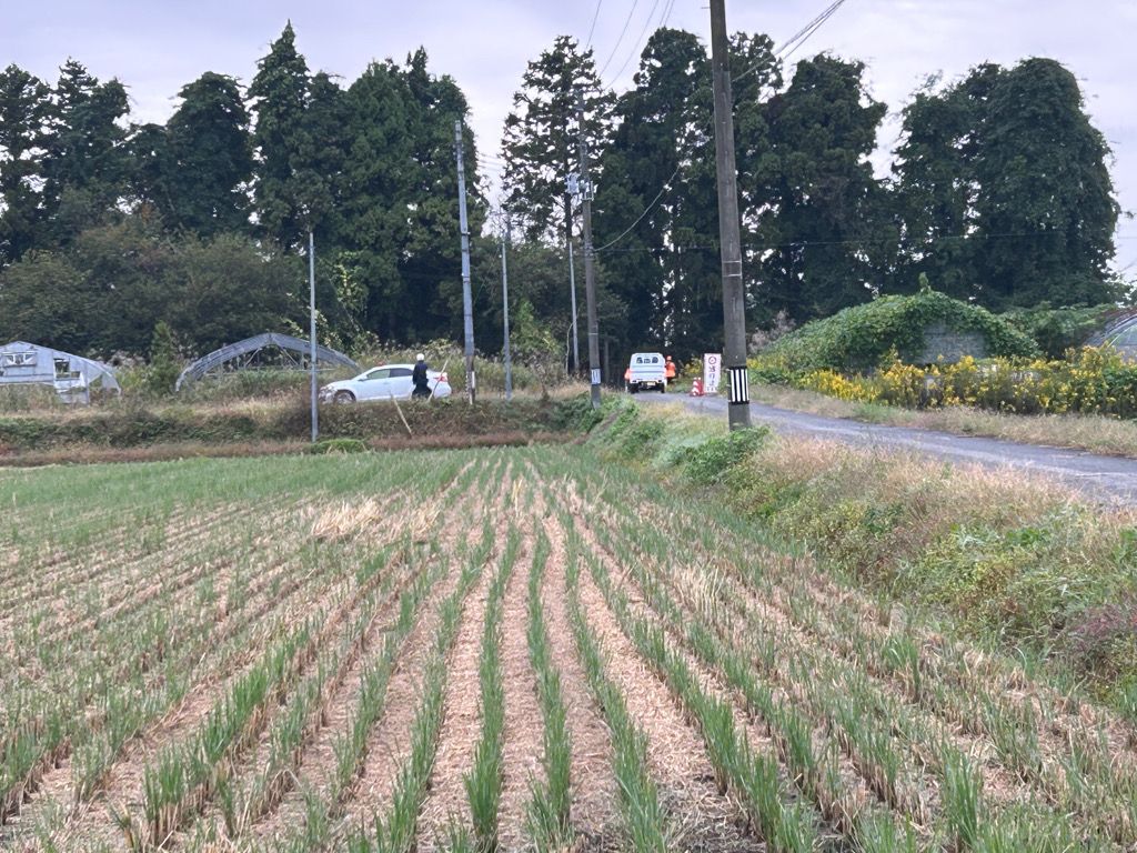 【続報】宮城・色麻町「わなにかかった子グマから離れない親グマ」　親グマを駆除　