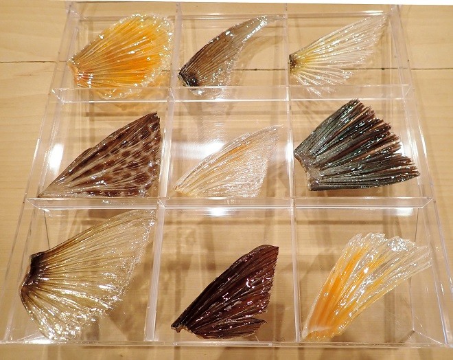 An appreciation for fish fins turned woman's life around  The Asahi  Shimbun: Breaking News, Japan News and Analysis