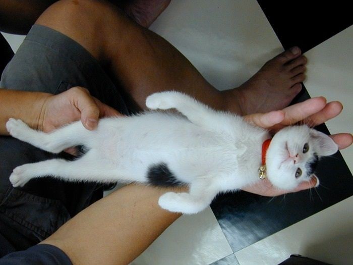 15年前にもらわれた（提供写真）