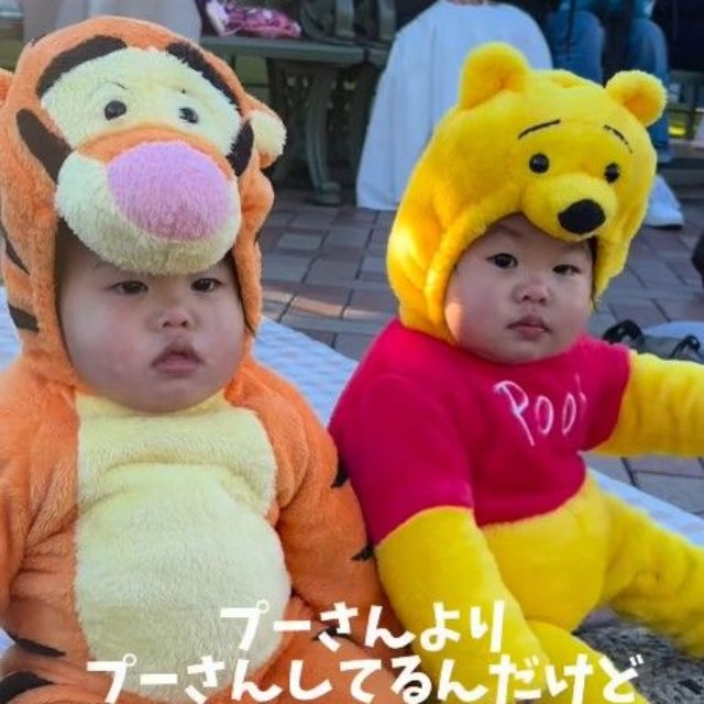 プーさんとティガーでディズニーランド♡（提供：＠can_twins_さん）
