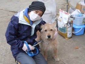災害時、ペットのためにできること　被災地・福島で支援を行った江口ともみさんに聞く