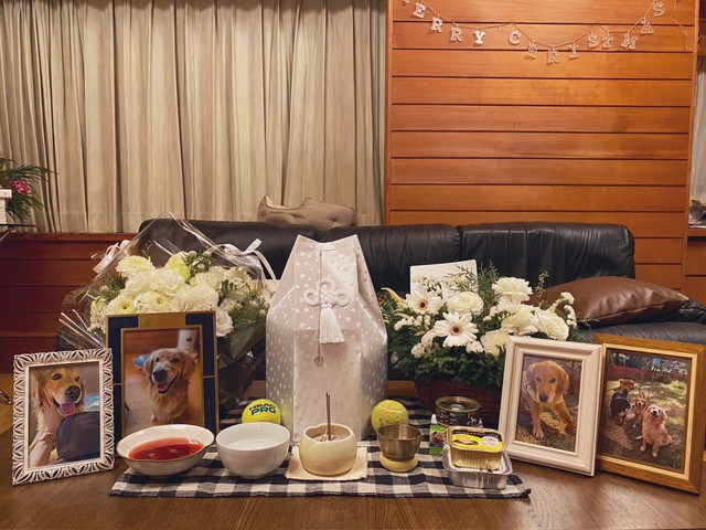 ユズちゃんの骨壺と遺影（提供写真）