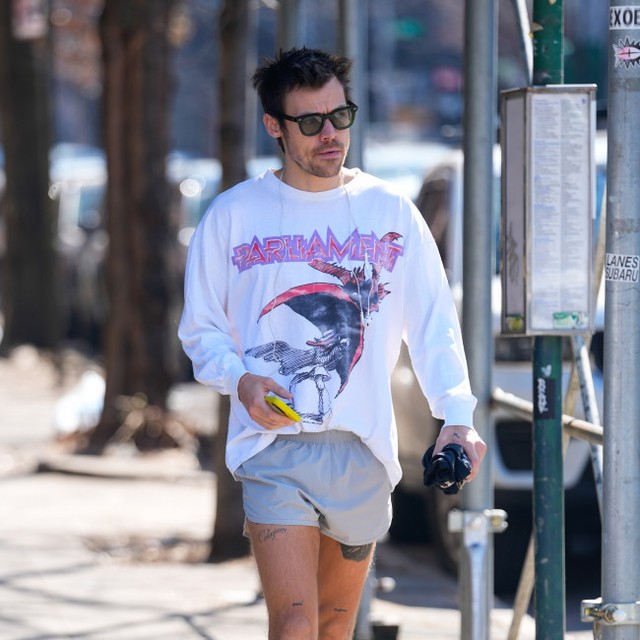 ロンドンの自宅に赤外線サウナを導入したと報じられたハリー・スタイルズ