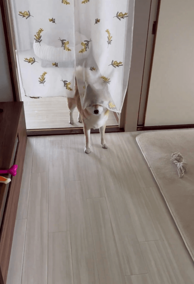 あれ？なんか気配が…？