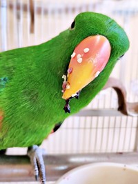 「おいしい顔」になったオオハナさん（画像提供：ゴンさん）