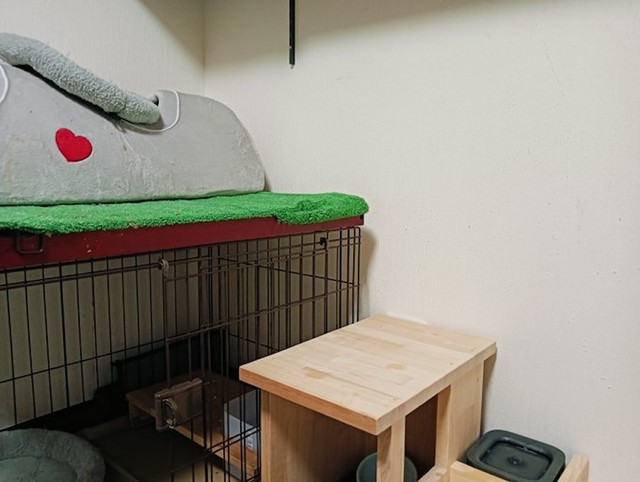 ケージの上にあがるステップにも（画像提供：セルゥゥゥゥァァァァァさん）
