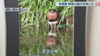 撮影：藤井聖三さん