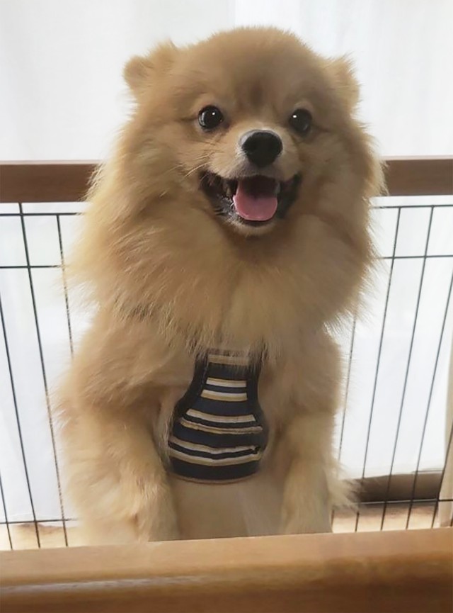 ネオくん大得意の二足立ち