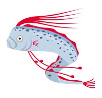 リュウグウノツカイ（画像はイメージ＝Gokuma/stock.adobe.com）
