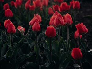 「生理」が来なくなったら、妊娠7週目。私は誰にも相談できなかった