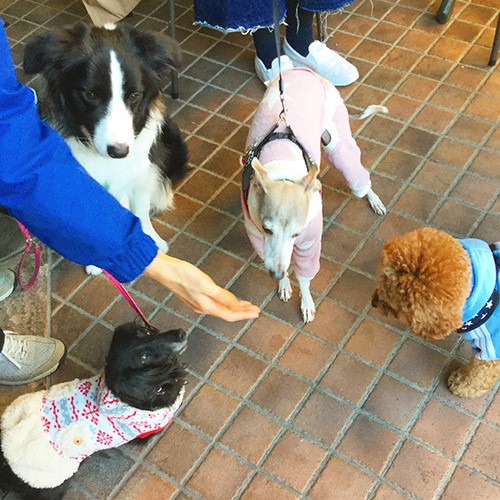 みんなでおやつタイムだよ