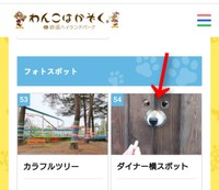 顔はめパネルのお手本（画像提供：ほのさん）