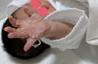 生後間もなくの頃から、すでにますかけ線が確認できます。 ※最中もなかさん提供