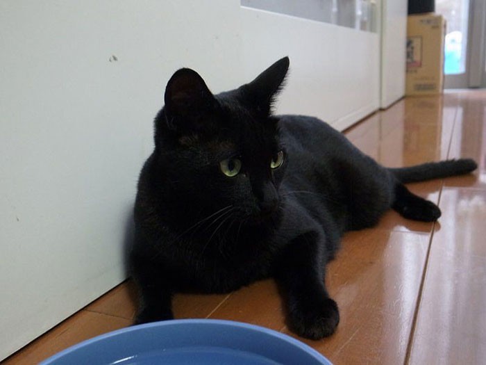 元気になったなつちゃん