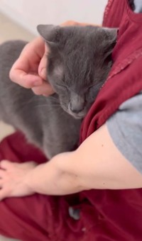 8年間を共にしたゆずちゃんのトライアル前もSNSで公開