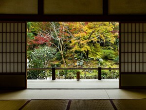 こっそり探し続けたお菓子が繋ぐ、会ったことがない憧れの曾祖母