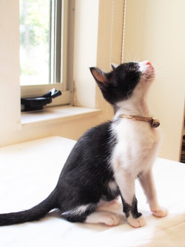 毎日、楽しいこと探し