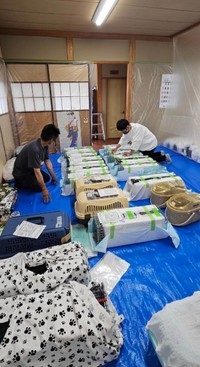 能登町、7月13日一斉不妊手術のため、捕獲（「ののいち にゃんこのおうち」さん提供）