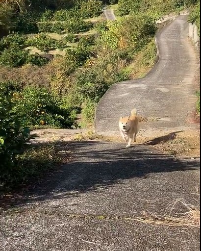 走って戻って来ました（提供：北田瑞絵さん）