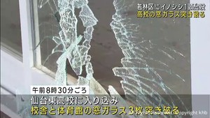住宅街にイノシシ出没　高校の窓ガラスも突き破る　仙台・若林区