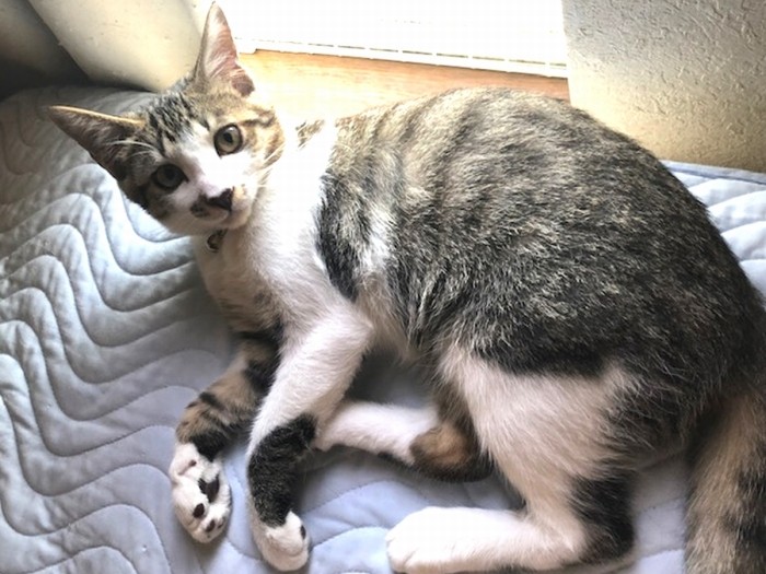 無事に成長しました