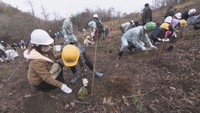 岡山市の山火事から1年　知事や地元住民らが跡地で植樹　緑の再生を願う