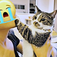 飼い主さん号泣！？ 抱っこされて顔をおしのけるしじみさん（画像提供：すずきさん）