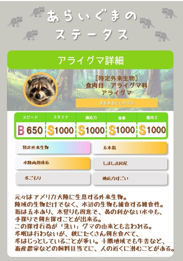 アライグマのステータス（写真提供：おびひろ動物園）