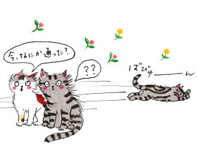 「桜、一緒に見ようね」と約束　遊び盛りの猫を失うのは心臓がえぐられるようなつらさ